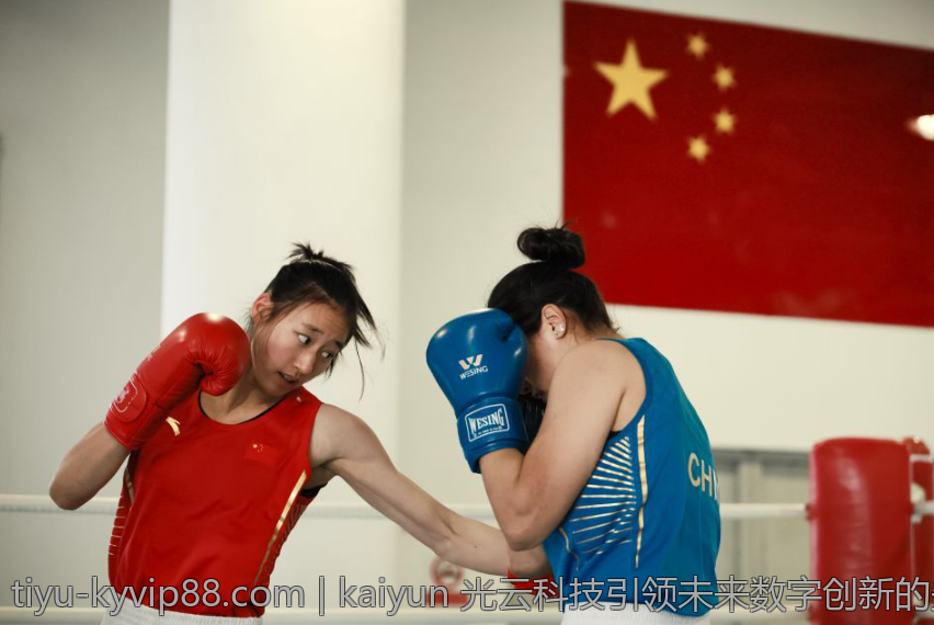 kaiyun 光云科技引领未来数字创新的先锋力量